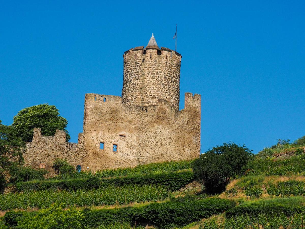 كايزرسبرغ Les Chambres De La Weiss المظهر الخارجي الصورة